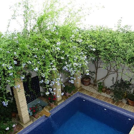 Casa La Loba Hotel Medina-Sidonia Ngoại thất bức ảnh