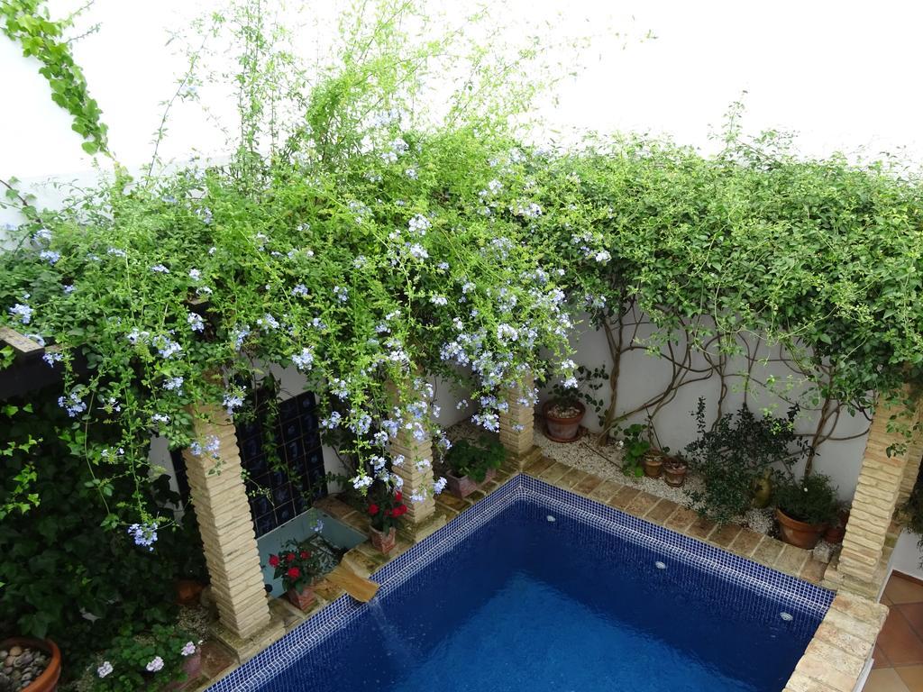 Casa La Loba Hotel Medina-Sidonia Ngoại thất bức ảnh