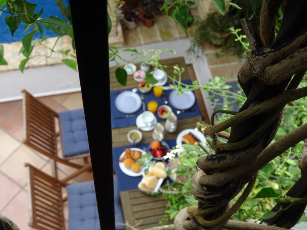 Casa La Loba Hotel Medina-Sidonia Ngoại thất bức ảnh